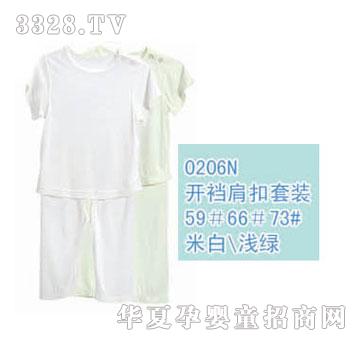��ʿ0206N