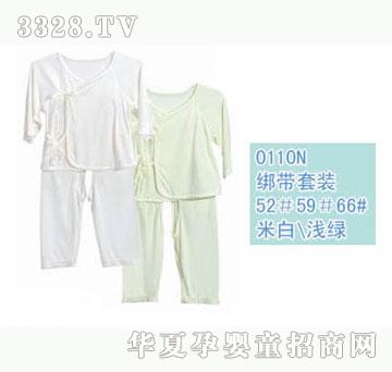 ��ʿ0110N