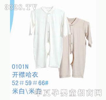 ��ʿ0101N����