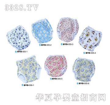 �������BYD-005-1
