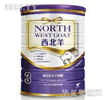 ���������b800��3��