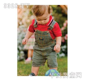 OSHKOSH�ݾGɫ����