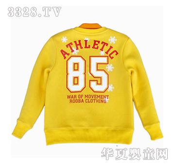 С��ӡ�SɫT��