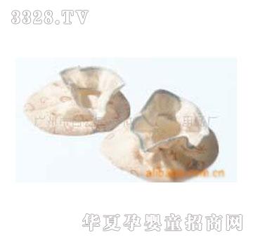 �ѵÌ��A�z�_��