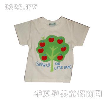 ̫�(y��ng)�B����T��ϵ��B