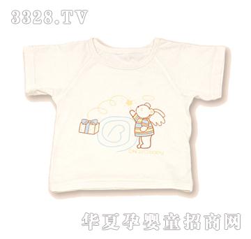 �����ļ�T��