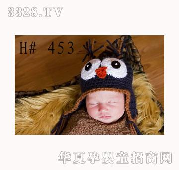 ������؈�^�������o�����K����ñ��453