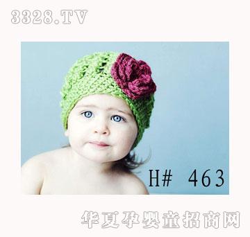 ������Gɫ�U�Վ�������ñ��463