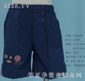 �ú������ѝJH2004���{(l��n)ɫ��