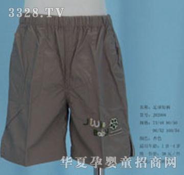 �ú������ѝJH2004����ɫ��