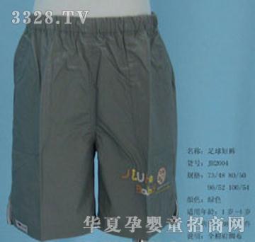 �ú������ѝJH2004���Gɫ��