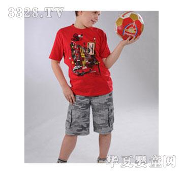 Poly8-14�q���b�\��