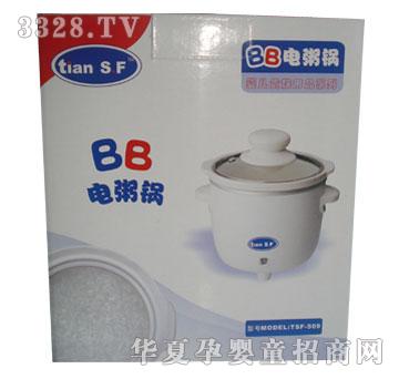 ��ʹ��tsf-509BB����