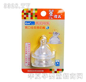 �Ƀ����ڏ���������L��2�����b��KR-2026