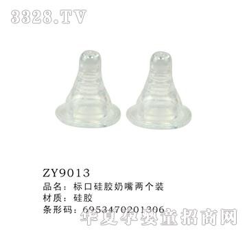 ��(bi��o)�ڹ��z����һ��(g��)�bZY9013