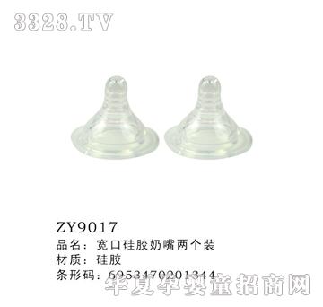 ���ڹ��z����ɂ��bZY9017