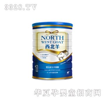 ��ţ��������b300g1��