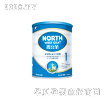 ��ţ��������b800g1��