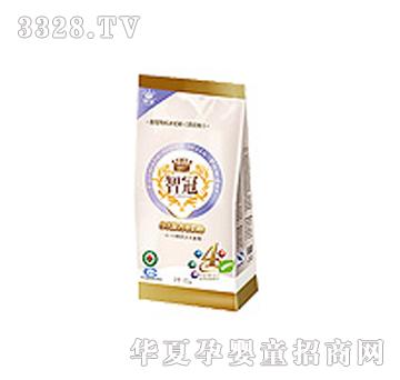 ��ţ�ǹڴ��b400g4��