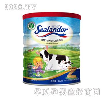 ���m��800�� �b����2