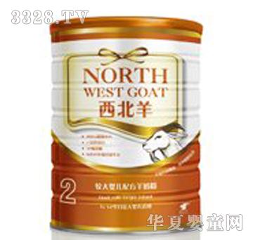 ���������b800��2��