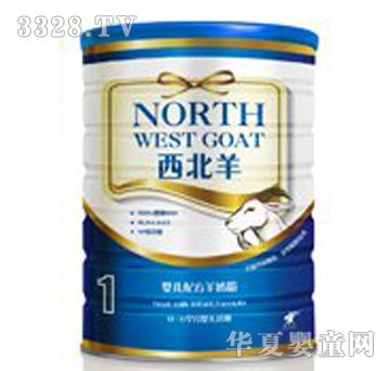 ���������b800��1��