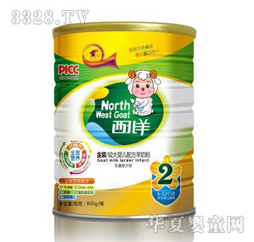 ������800g���b2��