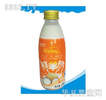 ���Ҭ������