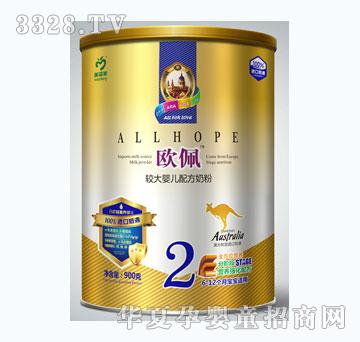 �W���^��냺�䷽ţ�̷�2�Σ�900g��