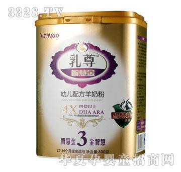 ���������ǻ۽�3��