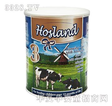 Hosland�����m�׃����L�䷽�̷�3��