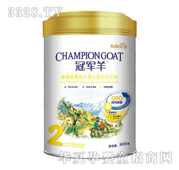 �Wؐ�γ����b�^��냺�䷽���̷�800G