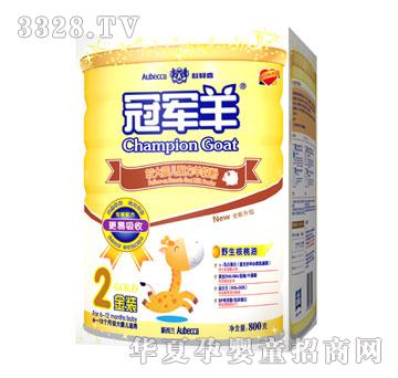 �Wؐ�ν��b�^��냺�䷽���̷�800G