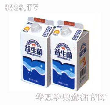 ꖹ�������