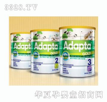 Adapta��(��i)�_(d��)�؋��׃��̷�