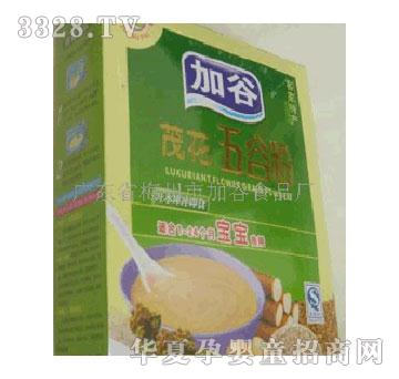 �ӹ�ï����ȷ��_ˮ���_��ʳ����