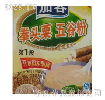 �ӹ�ȭ�^����ȷۼ��_��ʳ���ǵ�1��