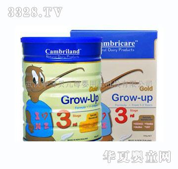 �������̷�