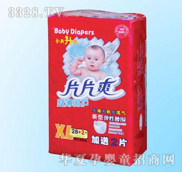 ���dƬƬˬ�������o