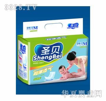 ʥؐ����͸�⼈��ƬM̖24Ƭ