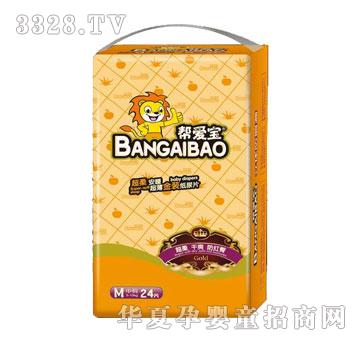 �͐ی��������b��Ƭ��M�a��24Ƭ