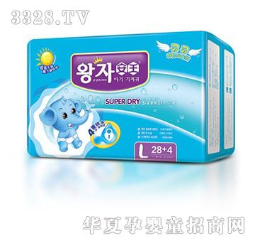 �����Йn�����냺����ѝL28+4Ƭ