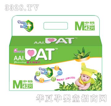 PAT����Ƭ�дaP05041