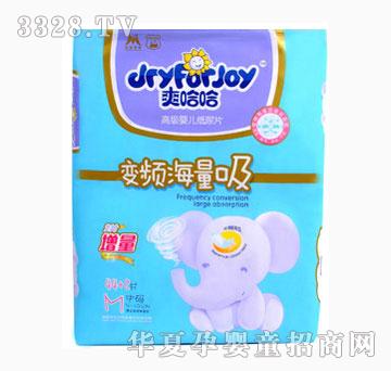 ˬ����׃�l����������ƬM�дa