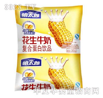 ��̫�ɻ���ţ��