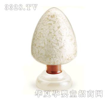 ������Ƭ