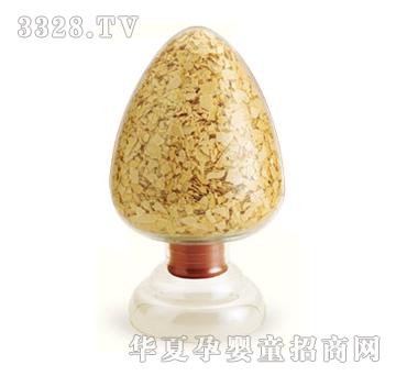 ������Ƭ