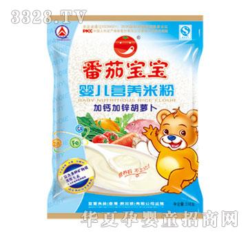 ���ь������\���}���}���냺�I(y��ng)�B(y��ng)�׷�518g