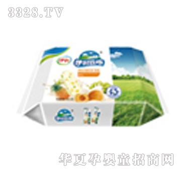 ������ͥ�b����������