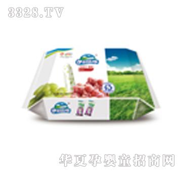 ������ͥ�b������